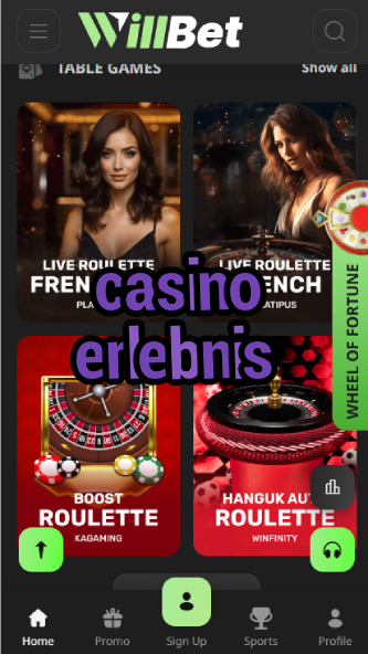 Casino Erlebnis - German Casino Experience Guide-casinoorder.vip