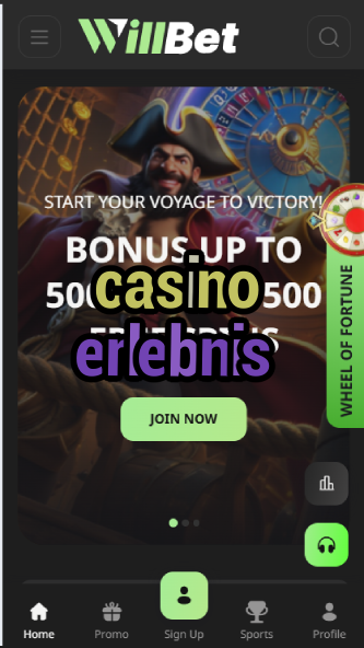 Casino Erlebnis - German Casino Experience Guide-casinoorder.vip